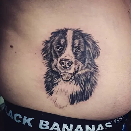 dog portret tattoo belly detattooshop.nl